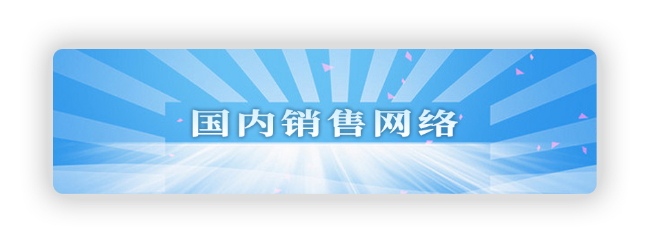 国内销售网络