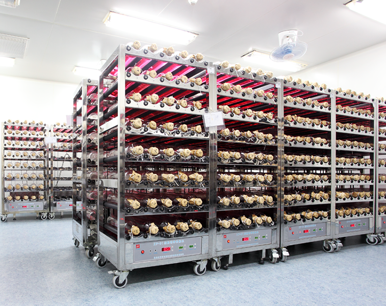 灭活苗细胞线－温室－细胞培养间－转瓶机