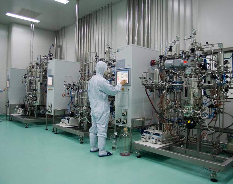 悬浮细胞培养罐